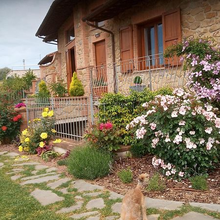 Olivo Bonsai Ξενοδοχείο Passignano sul Trasimeno Εξωτερικό φωτογραφία
