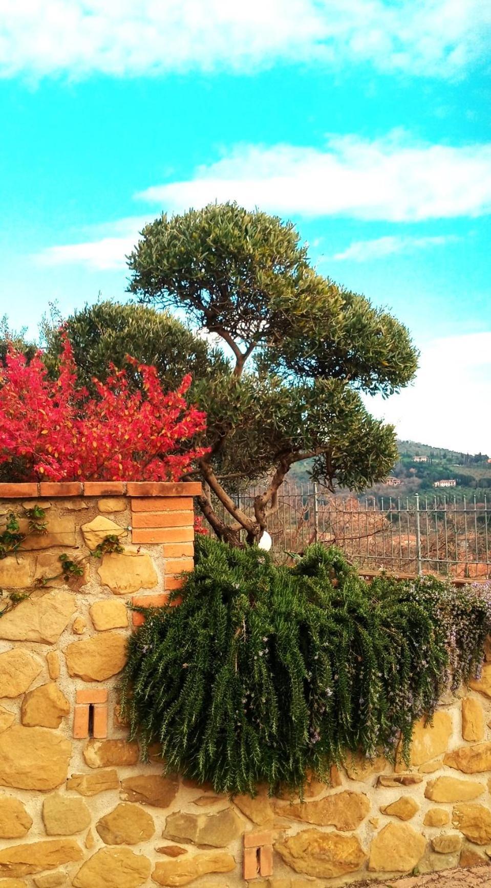 Olivo Bonsai Ξενοδοχείο Passignano sul Trasimeno Εξωτερικό φωτογραφία